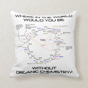 Where In The World Would You Be Organic Chemistry? Cushion