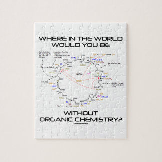 Where In The World Would You Be Organic Chemistry? Jigsaw Puzzle