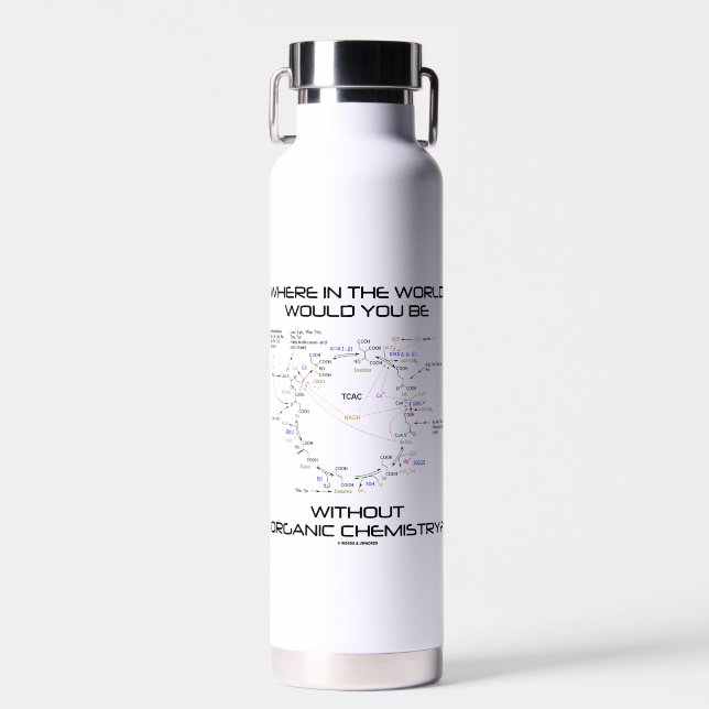 Where In The World Would You Be Organic Chemistry? Water Bottle (Front)