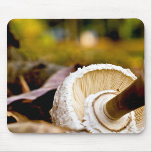 Where is Alice? Mushroom Still Life Mouse Mat