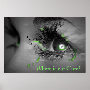 Where is our Cure? Lyme Disease Awareness Poster