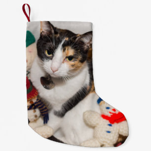 Where Is The Cat Christmas Stocking