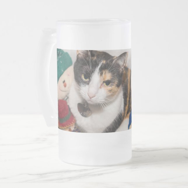 Where Is The Cat Frosted Glass Beer Mug (Front Left)