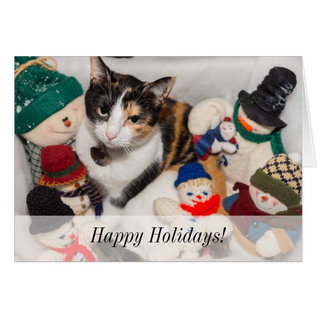 Where Is The Cat Holiday Card (Front Horizontal)