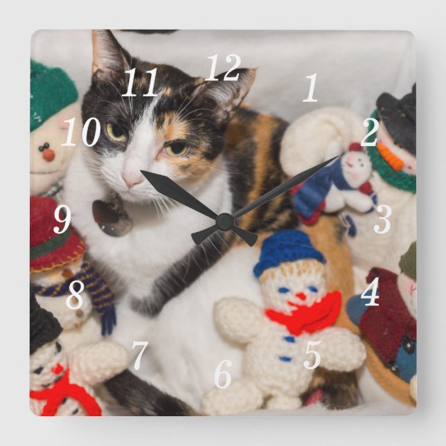 Where Is The Cat Wall Clock (Front)