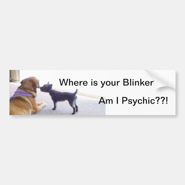 Where is your Blinker drivers Bumper Sticker (Front)