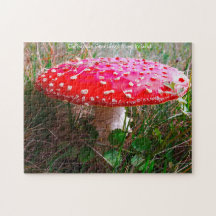 Where Leprechauns or where the little people Live.