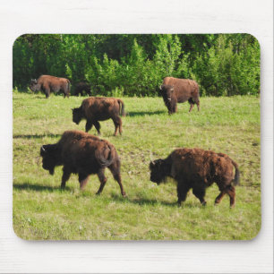 Where the Bison Roam Mouse Mat