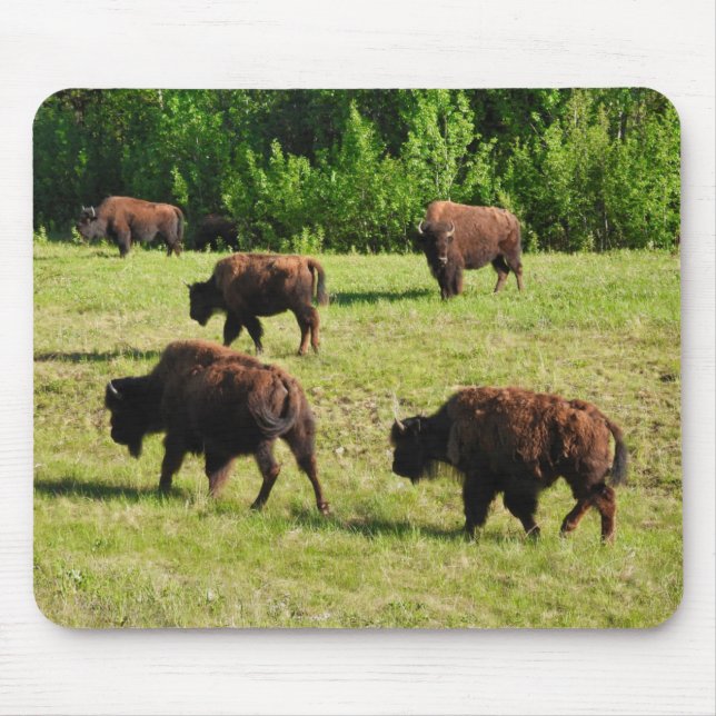 Where the Bison Roam Mouse Mat (Front)