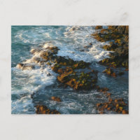 Where the Ocean Meets the Rocks
