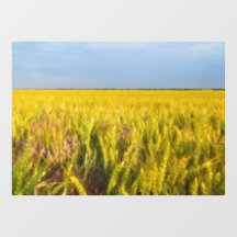 Where the Wheat Dances with the Wind - Wild Nature
