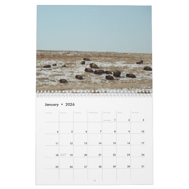 Where theBuffalo Roam Calendar (Jan 2026)