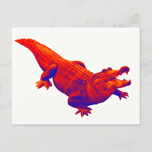 WHERE THEY ARE POSTCARD (Front)