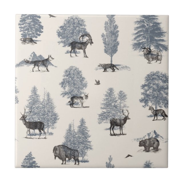 Where They Belong Winter | Florent Bodart Tile (Front)