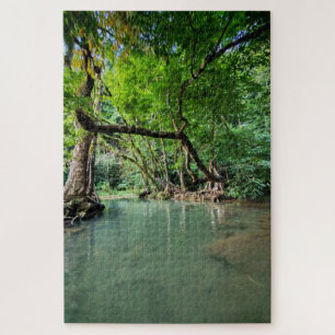 Where Trees Meet Water Jigsaw Puzzle