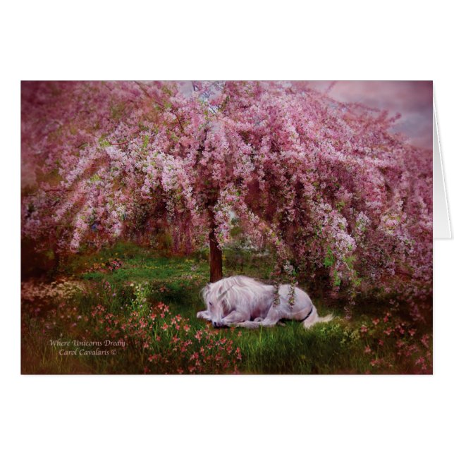 Where Unicorn's Dream ArtCard (Front Horizontal)