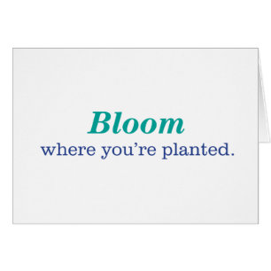 Where You're Planted