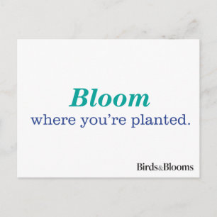 Where You're Planted Postcard