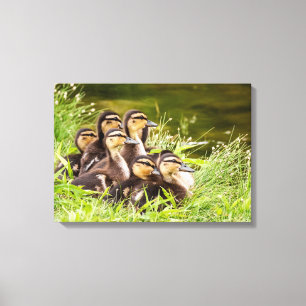 Where's Mum? Canvas Print