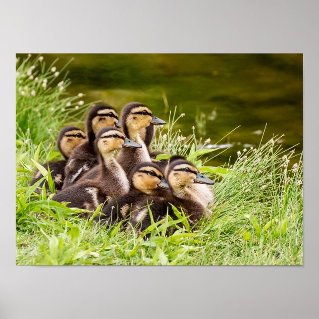 Where's Mum Poster (Front)