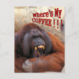 Where's My Coffee!!! Postcard
