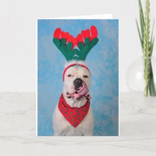 Where's my egg nog? holiday card