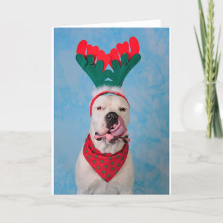 Where's my egg nog? holiday card