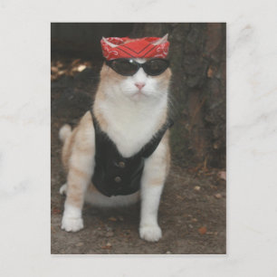 Where's my hog? postcard