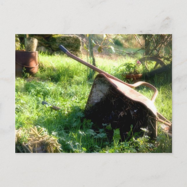 Where's Peter Rabbit? Postcard (Front)