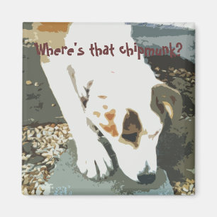 Where's that chipmunk? Magnet