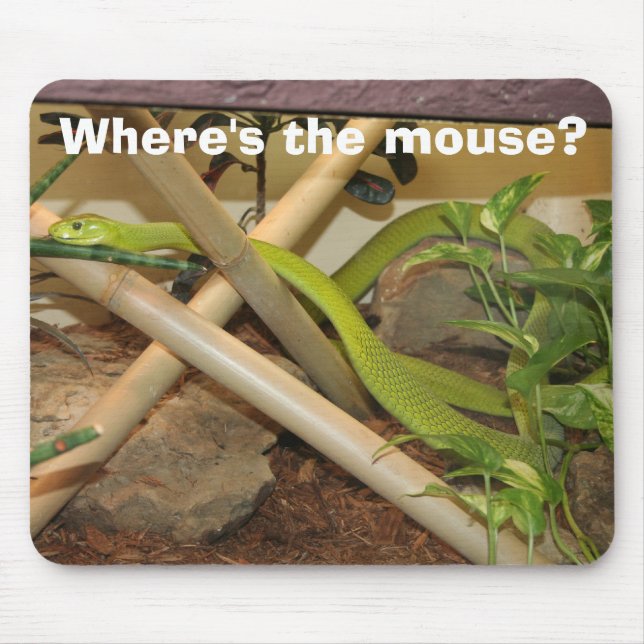 Where's the mouse? mouse mat (Front)