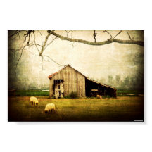 Wherever You May Roam, Always Call This Home