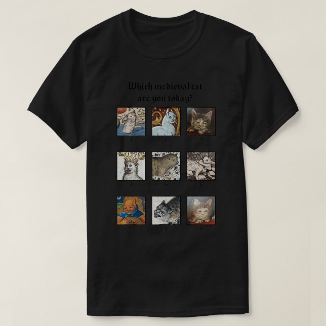 Which medieval cat are you today  T-Shirt (Design Front)