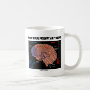 Which Neural Pathway Are You On? Coffee Mug