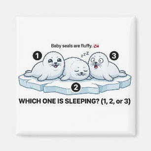 Which One Is Sleeping? – Baby Seal Learning Magnet