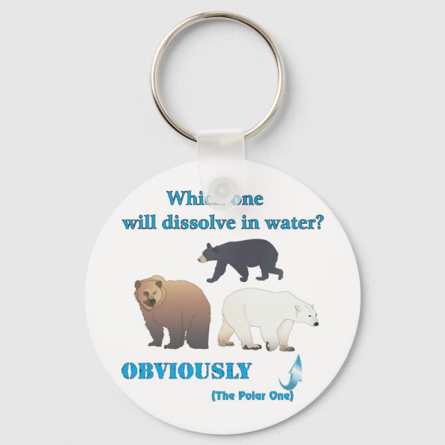 Which one will dissolve in water Polar Chemistry Key Ring (Front)