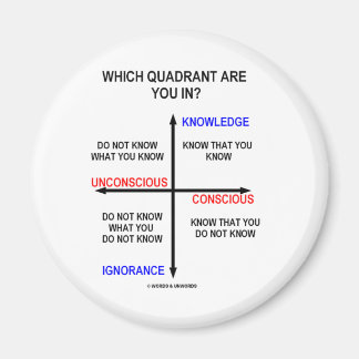 Which Quadrant Are You In? Magnet