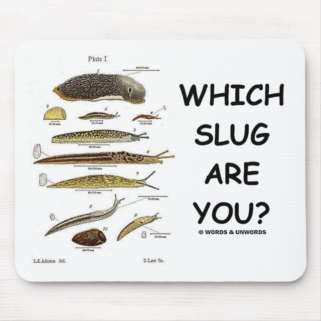 Which Slug Are You? Mouse Mat (Front)