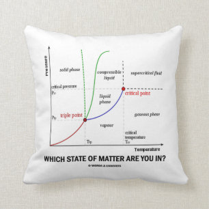Which State Of Matter Are You In? (Chemistry) Cushion