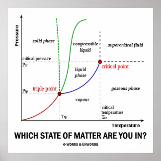 Which State Of Matter Are You In? (Chemistry) Poster