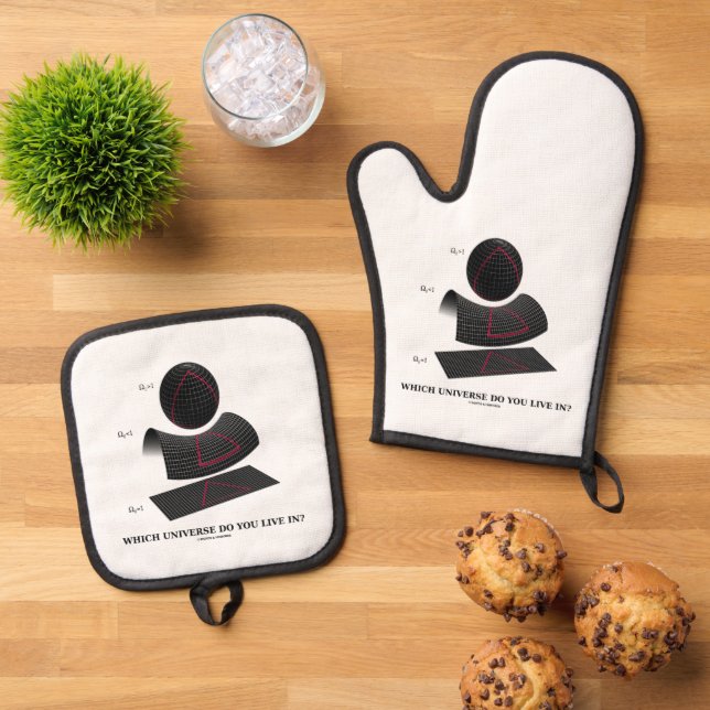 Which Universe Do You Live In? Astrophysics Oven Mitt & Pot Holder Set (Top Down)