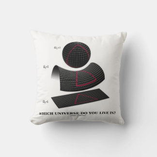 Which Universe Do You Live In? Physics Humour Cushion