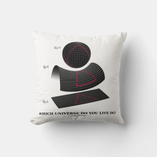 Which Universe Do You Live In? Physics Humour Cushion (Front)