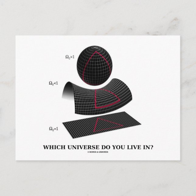 Which Universe Do You Live In? (Physics Humour) Postcard (Front)