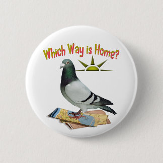 Which Way is Home? Pigeon Art 6 Cm Round Badge