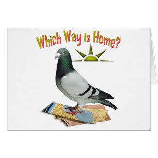 Which Way is Home? Pigeon Art Card