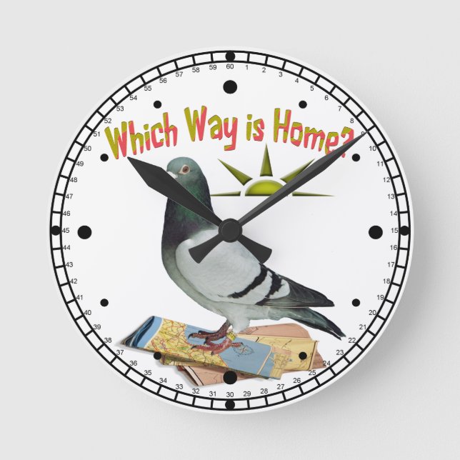 Which Way is Home? Pigeon Art Round Clock (Front)