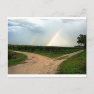 Which way now postcard