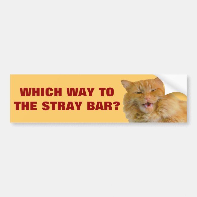 Which Way To the Stray Bar? Bumper Sticker (Front)
