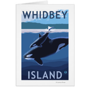 Whidbey Island, WashingtonOrca and Calf